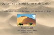 Dynamics of sand dunes  stabilization