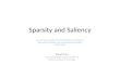 Sparsity and Saliency