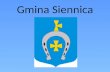 Gmina Siennica