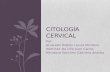 Citología  cervical