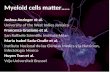 Myeloid cells matter…..