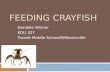 Feeding Crayfish