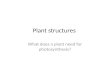 Plant structures