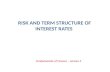 Risk and term structure  of interest rates