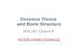 Osseous Tissue  and Bone Structure