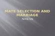 Mate Selection and Marriage