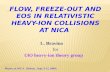 FLOW, FREEZE-OUT and  EoS in  relativistic heavy-ion collisions  at NICA