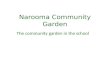 Narooma Community Garden