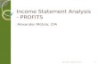 Income Statement Analysis - PROFITS