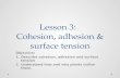 Lesson 3:   Cohesion, adhesion & surface tension