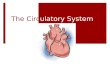 The Circ ulatory System
