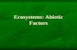 Ecosystems:  Abiotic  Factors