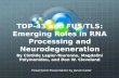 TDP-43 and FUS/TLS: Emerging Roles in RNA Processing and  Neurodegeneration
