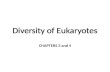 Diversity of Eukaryotes