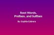 Root Words,  Prefixes, and Suffixes