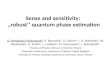 Sense and sensitivity:  ,, robust ’’ quantum  phase estimation