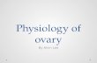 Physiology of ovary