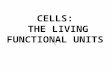 CELLS:  THE LIVING FUNCTIONAL UNITS