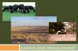Rangeland Management