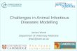 Challenges in Animal Infectious Diseases Modelling