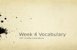 Week 4 Vocabulary