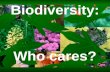 Biodiversity:  Who cares?