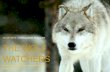 CHAPTER  8 POPULATION ECOLOGY THE WOLF WATCHERS