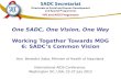 One SADC, One Vision, One Way Working Together Towards MDG 6: SADC’s Common Vision