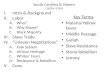 South Carolina & Slavery (1670s-1740)