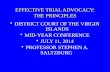 EFFECTIVE TRIAL ADVOCACY: THE PRINCIPLES