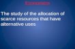 Economics The study of the allocation of scarce resources that have alternative uses .