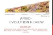 APBIO-  Evolution Review