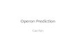 Operon  Prediction