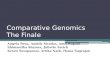 Comparative Genomics  The  Final e