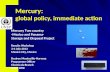 Mercury: global policy, immediate action