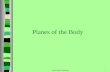 Planes of the Body