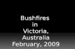 Bushfires  in  Victoria, Australia February, 2009