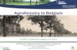 Agroforestry in Belgium