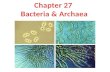 Chapter 27  Bacteria &  Archaea