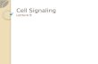 Cell Signaling Lecture 9