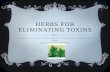Herbs for Eliminating Toxins