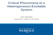 Critical Phenomena in a Heterogeneous Excitable System