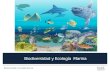 Biodiversidad y Ecología  Marina
