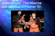Arthropods: The Marine Bio Version (chapter 5)