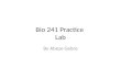 Bio 241  P ractice  Lab