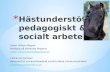 Hästunderstött pedagogiskt & socialt arbete