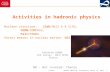Activities in  hadronic  physics