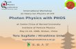 International Workshop  on Heavy Ion Physics at LHC  Photon Physics with PHOS