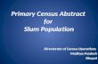 Primary Census Abstract  for  Slum Population