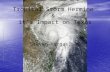 Tropical Storm  Hermine &  it’s Impact on Texas